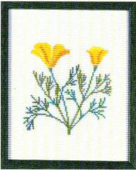 California Poppy, California