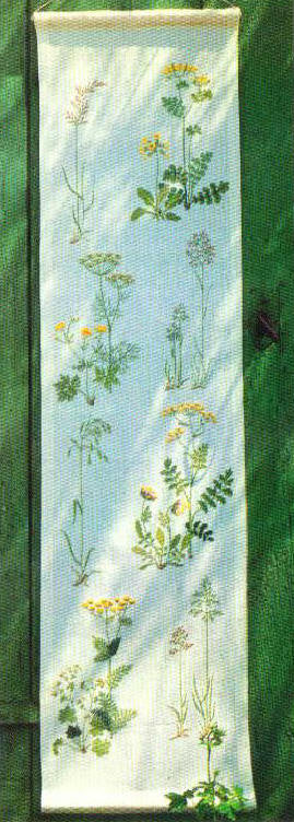 Grass & Wild Plants Grass & Wild Plants