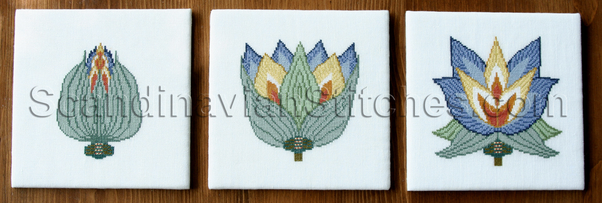 Bud to Flower (Blue), 3 pack Bud to Flower (Blue), 3 pack