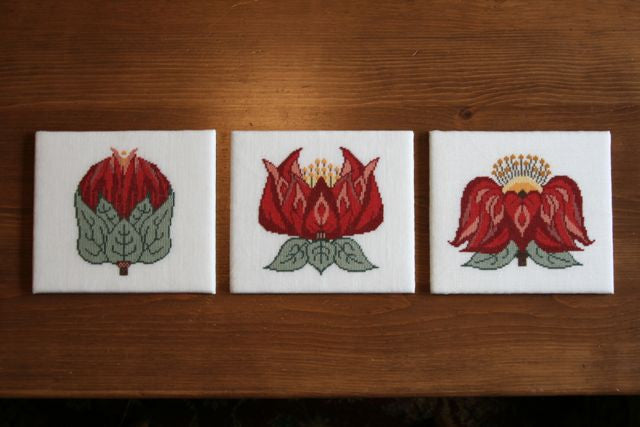 Bud to Flower (Red), 3 pack Bud to Flower (Red), 3 pack