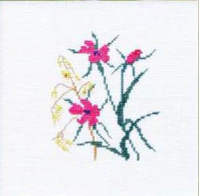 Klint Og Havre Klint Og Havre