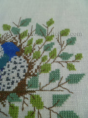 Bird's Nest Runner