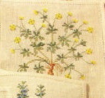 Herbs