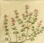Herbs