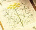 Herbs