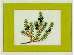 Crowberry