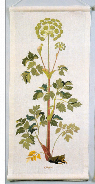 Angelica