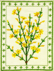 Jasmine