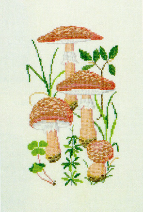 Amanita Mushrooms