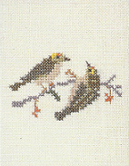 Goldcrest