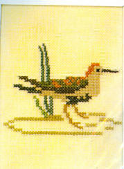 Sandpiper
