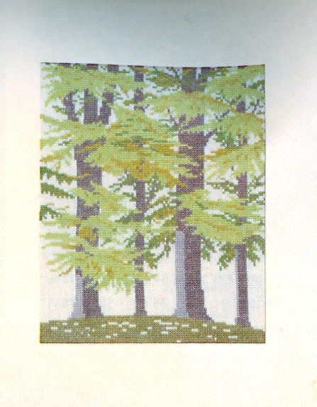 Beech Forest