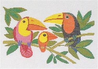 Toucan