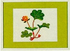 Cloudberry