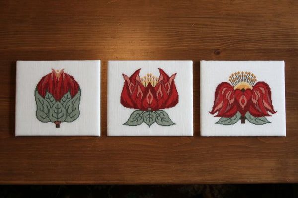 Bud to Flower (Red), 3 pack