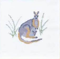 Kangaroo